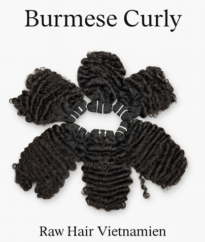 BUNDLE VIETNAMESE RAW -  BURMESE CURLY